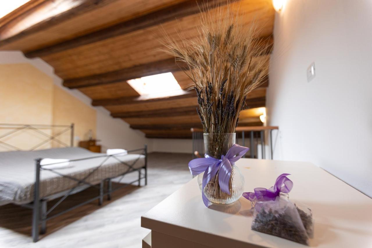 Agriturismo La Valle Della Lavanda - Podere Mezzastrada Fauglia Dış mekan fotoğraf