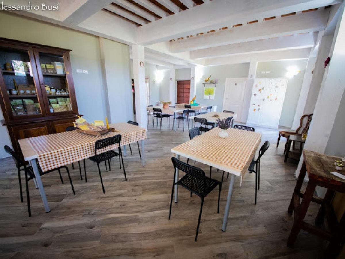 Agriturismo La Valle Della Lavanda - Podere Mezzastrada Fauglia Dış mekan fotoğraf