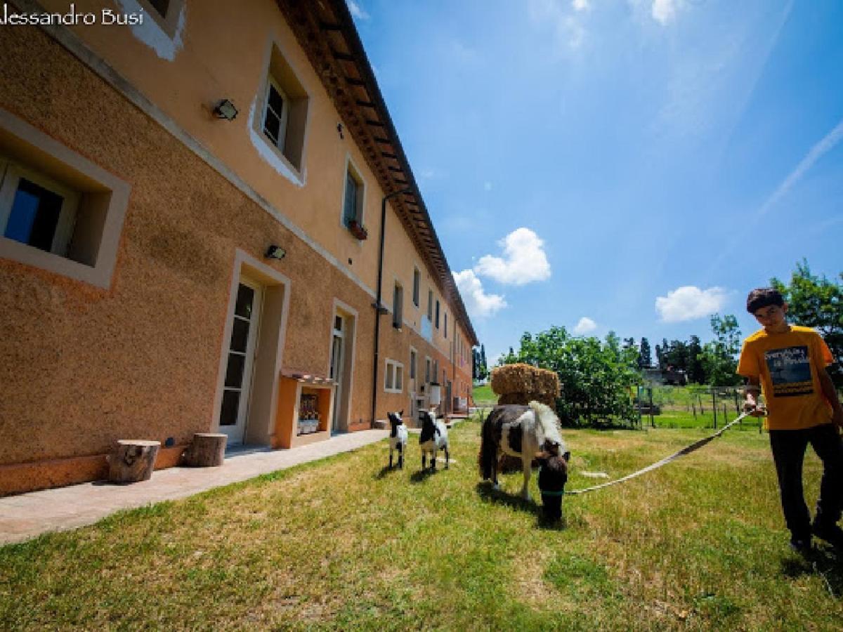 Agriturismo La Valle Della Lavanda - Podere Mezzastrada Fauglia Dış mekan fotoğraf